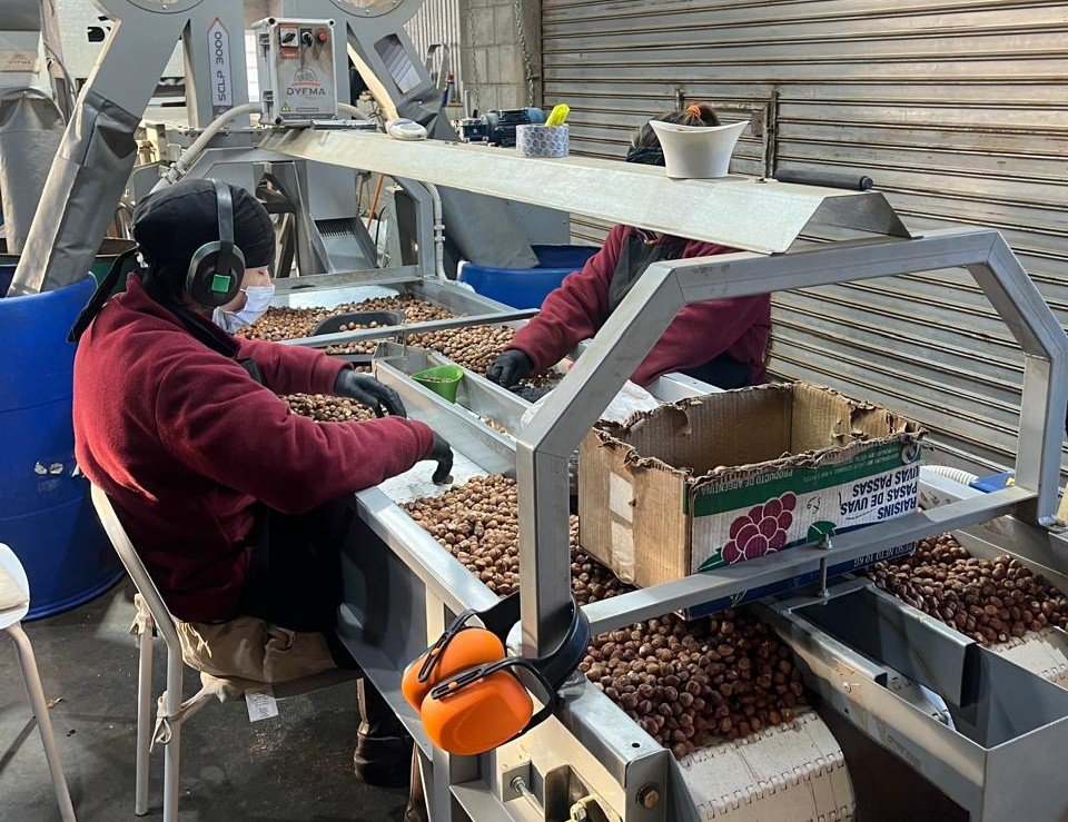 Equipamiento destinado al acondicionamiento de la producción rionegrina