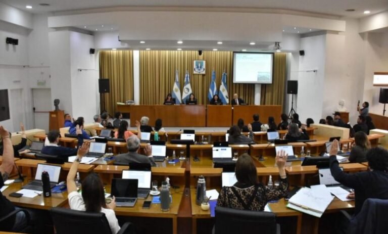 El Concejo Deliberante de Neuquén aprobó un programa para prevenir el bullying y el ciberbullying