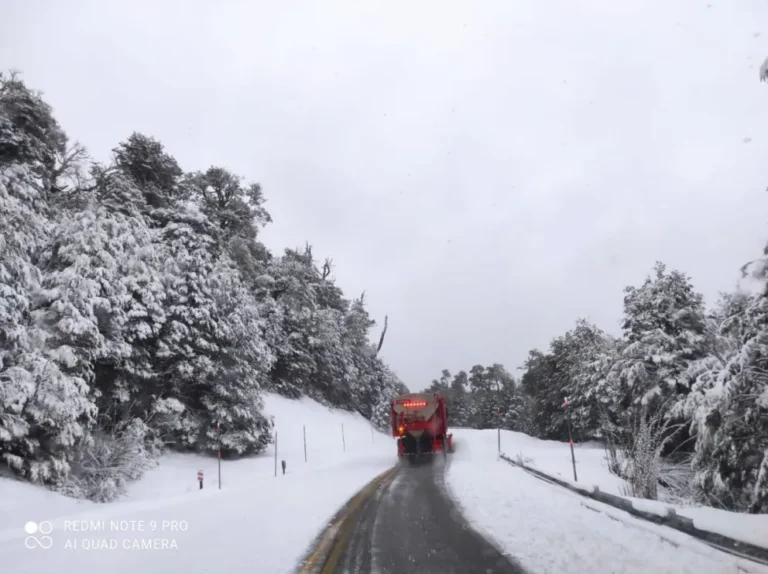 Rutas de Neuquén y pasos a Chile: cuáles están habilitados y qué elemento es obligatorio llevar